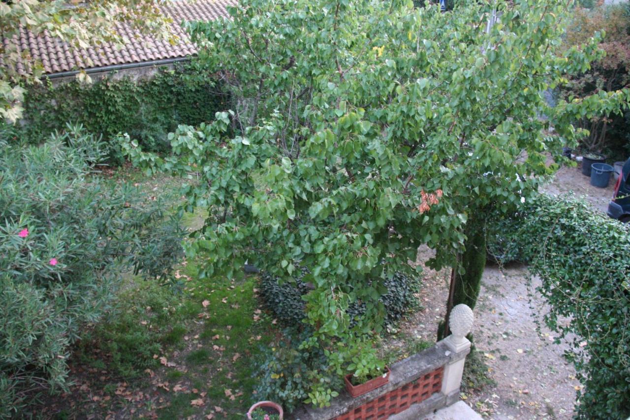 Le Mas Des Dames Appartement Avignon Exteriör bild